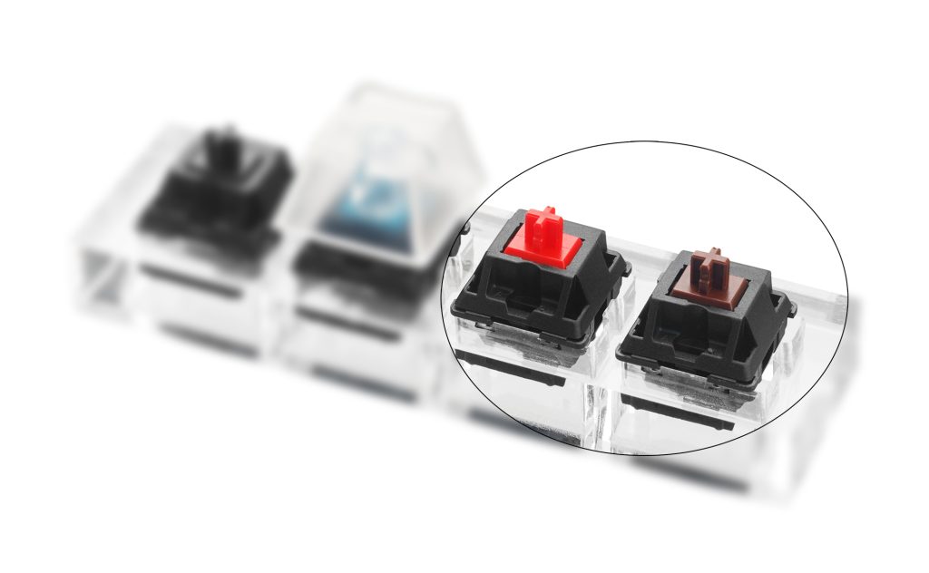 red vs brown switches