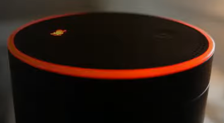Alexa with orange lining