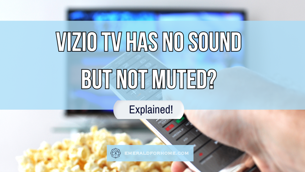 Vizio TV Has No Sound But Not Muted